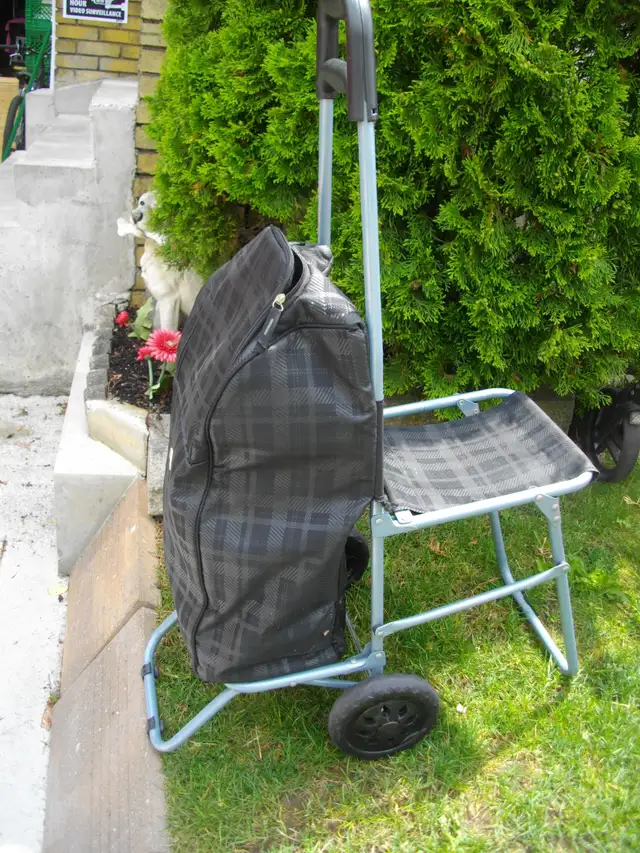 PERSONAL SHOPPING CART WITH SEAT