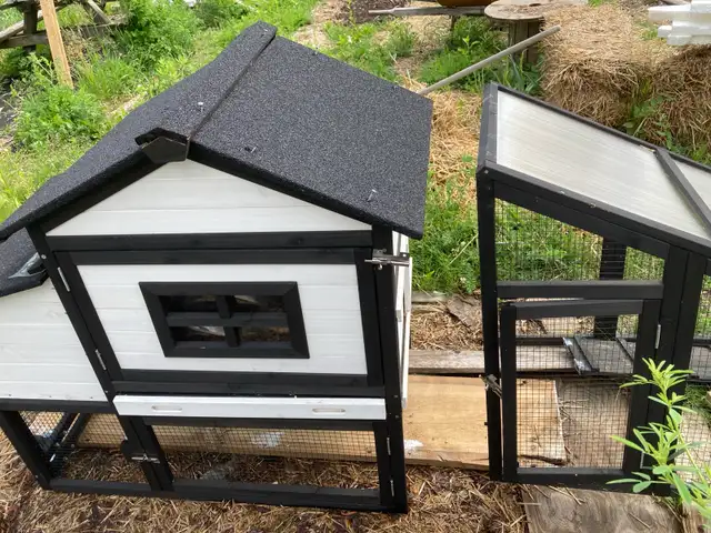 mini chicken coop