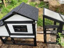 mini chicken coop