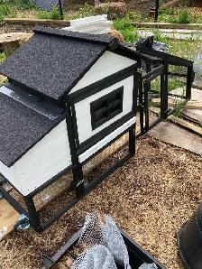 mini chicken coop - Photo 2