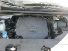 AUCTION - 2019 KIA SEDONA SX MINIVAN-ONLINE- SAT, JUN 27 - 8 AM - Photo 7