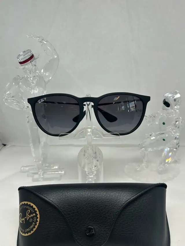 Ray-Ban Erika Classic (RB4171 Polarized black sunglasses