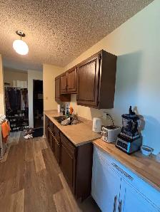 2 Bedroom Available July 1, 2026 - Photo 3