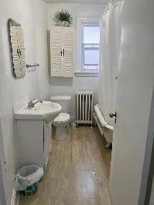 Bright Fully Furnished Bachelor Apt with Sun Porch - Photo 11