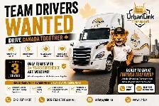 Team Drivers