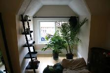 Neat, Quiet Two Bedroom - Photo 5