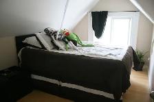 Neat, Quiet Two Bedroom - Photo 8