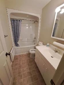 2 Bedroom Walk-Up Apartment (Senior's Building) - Photo 6