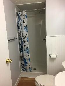 1 Bed/1Bath 4-plex suite in Ramsay/lnglewood - Photo 6