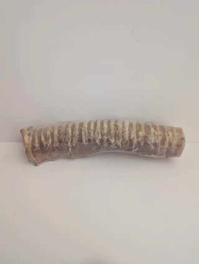 Dog Treats - Whole Trachea 9 inch