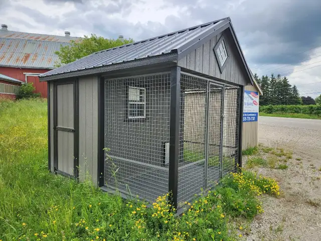 kennel for dogs