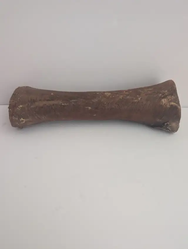 Dog Treats - Esophagus wrapped Marrow Bone
