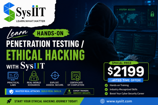 Penetration Testing / Ethical Hacking