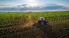 Hiring: Farm Labourer