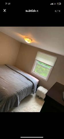 Brand New Queen Mattresses $350 Platform $99 Delivery