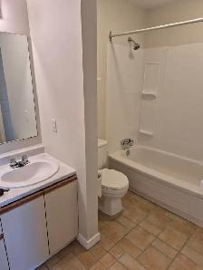 1 Bedroom Condo plus den for rent in Bridgewater, NS - Photo 9
