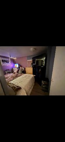 mini home for sale - Photo 3