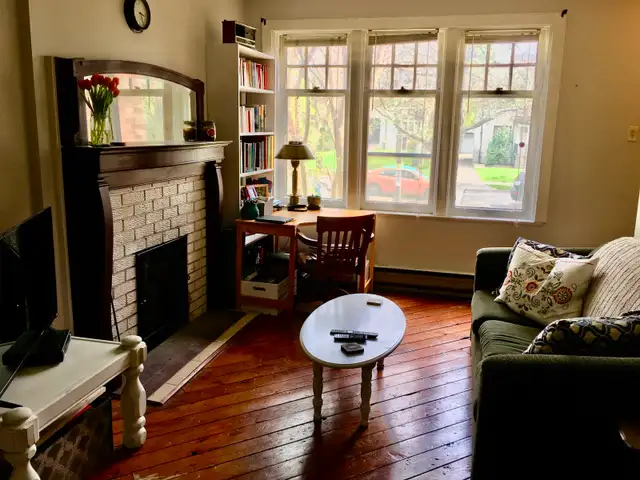 A beautiful one bedroom apt.  high park August 1