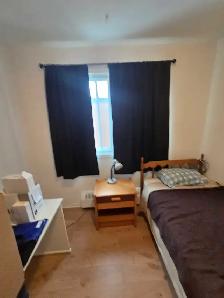 Chambre à louer