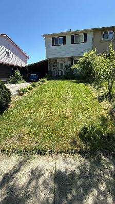 grass cut