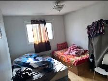 Private room available for rent