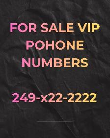 416,647,905,437,226,289,403,604,778,7Area Code Phone Numbers