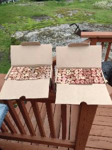 Your choice 3 boxes of pennies Canadian/American unsearched - Photo 5