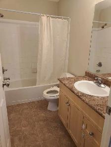 Apartment condo for rent - Photo 2
