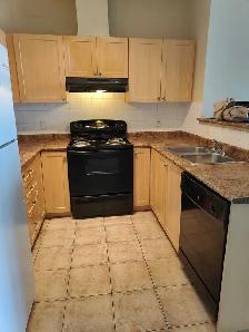 Apartment condo for rent - Photo 4