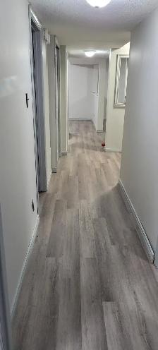 Basement for Rent - Photo 3