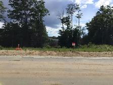 Building lot / vacant land - Photo 3