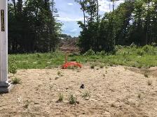 Building lot / vacant land - Photo 5