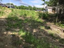 Building lot / vacant land - Photo 6