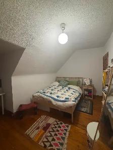 Bright Beautiful Spacious Annex 4 Bdrm by Dupont subway - Photo 4
