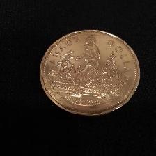 2005 collectible TERRY FOX LOONIE