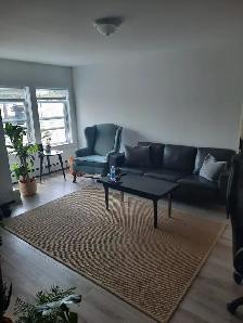 July 1st New Reno Large One BR Apt & Balcony Center at Quinpool - Photo 3