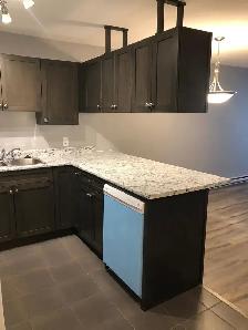1 Bedroom For rent downtown location