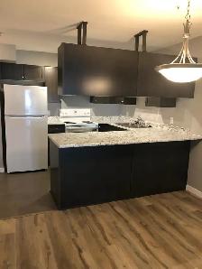 1 Bedroom For rent downtown location - Photo 4