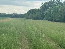 TWO FREE PLOTS OF HAY - Photo 2