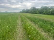 TWO FREE PLOTS OF HAY - Photo 3
