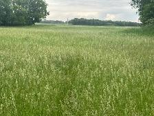 TWO FREE PLOTS OF HAY - Photo 5