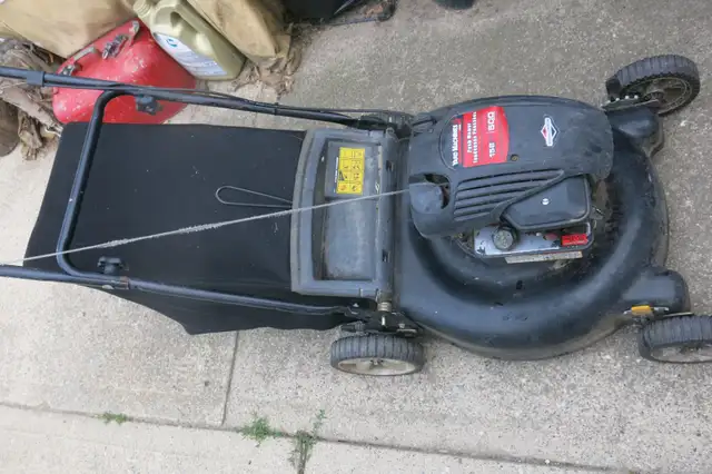 Push lawnmower and bag
