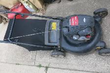 Push lawnmower and bag