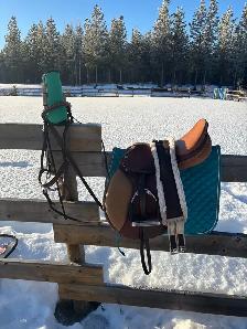 English saddle and more
