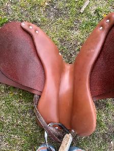 English saddle and more - Photo 4