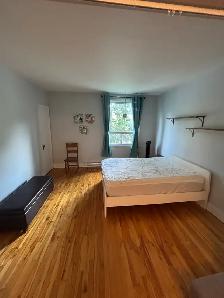 ⭐Joli 3 ½, Métro Laurier,PLATEAU MONT-ROYAL,1er juillet, 1295$/m - Photo 4