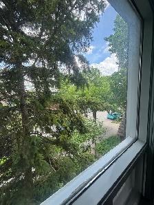 ⭐Joli 3 ½, Métro Laurier,PLATEAU MONT-ROYAL,1er juillet, 1295$/m - Photo 16