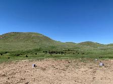 Cattle feed bales / cattle pasture land for rent 2027 season