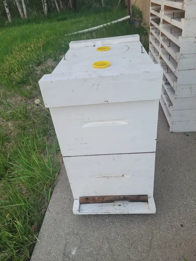 7 FRAME NUC BROOD CHAMBERS