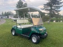 Yamaha 48v golf cart New Batteries!
